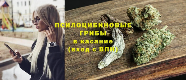 тгк Михайлов