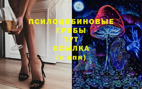 тгк Михайлов