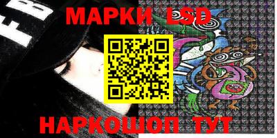 прущие грибы Апшеронск