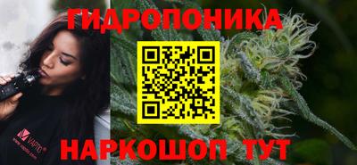 прущие грибы Апшеронск