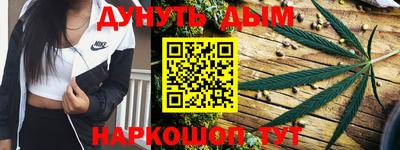 прущие грибы Апшеронск