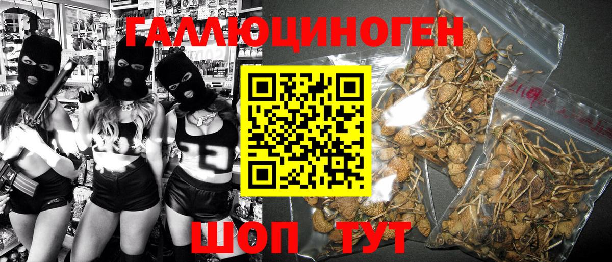 Галлюциногенные грибы мухоморы  Воткинск  Галлюциногенные грибы Cubensis 