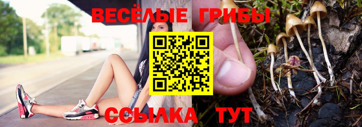 Галлюциногенные грибы мицелий Воткинск